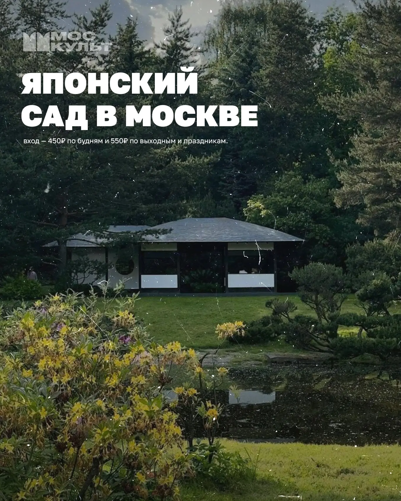 Японский сад в Москве – место, где город становится тише 🥹