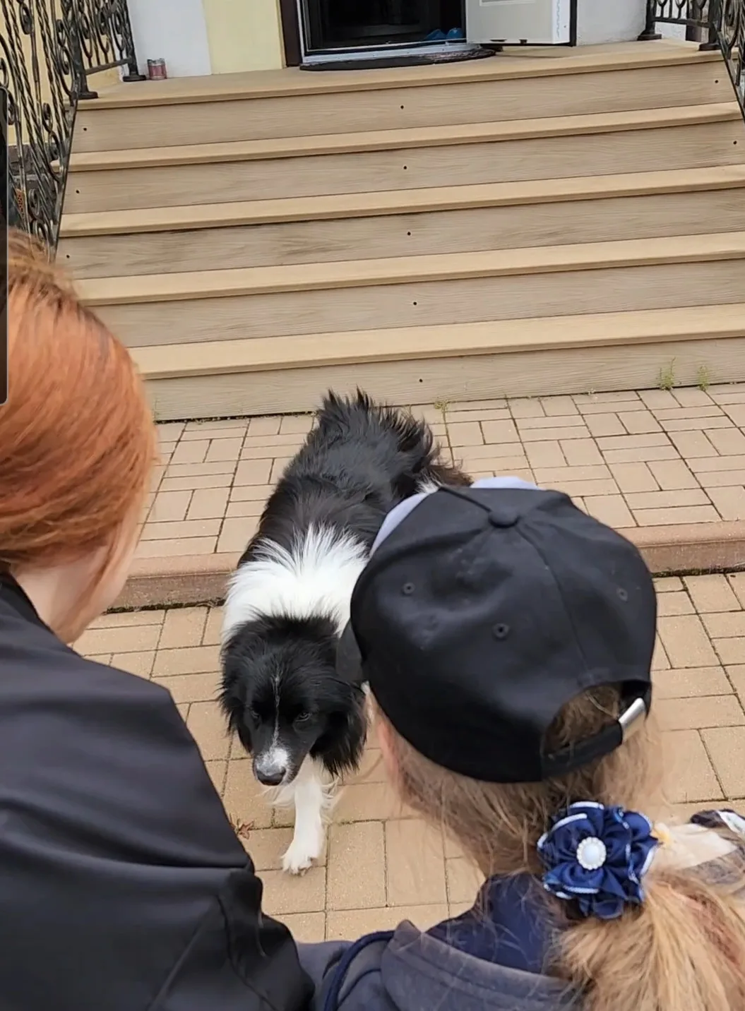 🐾 ЛАРРИ ДОЖДАЛСЯ! 🎉