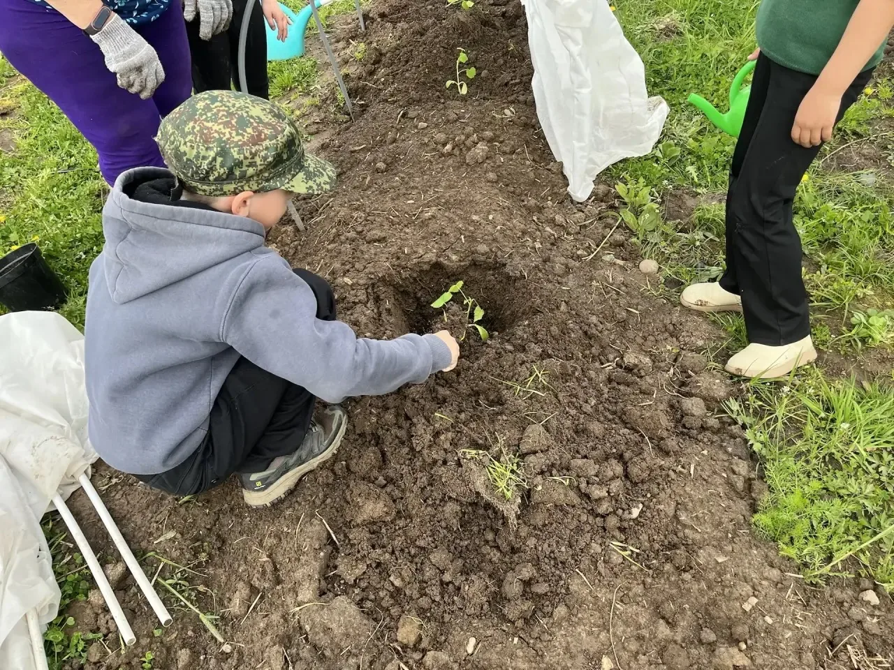 🌾 Огородные чудеса в Марковской школе! 🌾  Ученики 1‑го и 3‑го классов взялись за лопаты — и вуаля! ✨