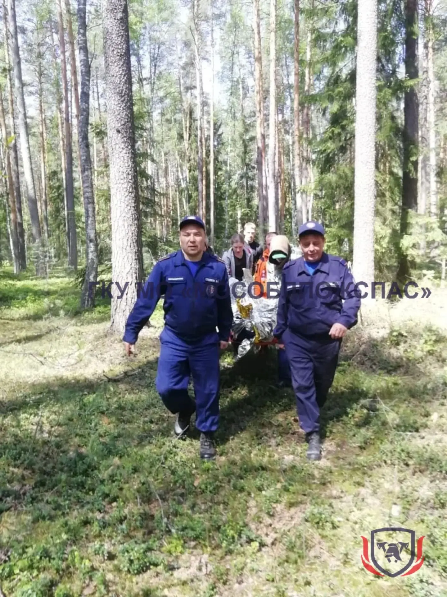 🌲5 суток в лесу: в округе Шатура нашли заблудившегося пенсионера ⬇️  ❗️Вчера работники поисково-спас