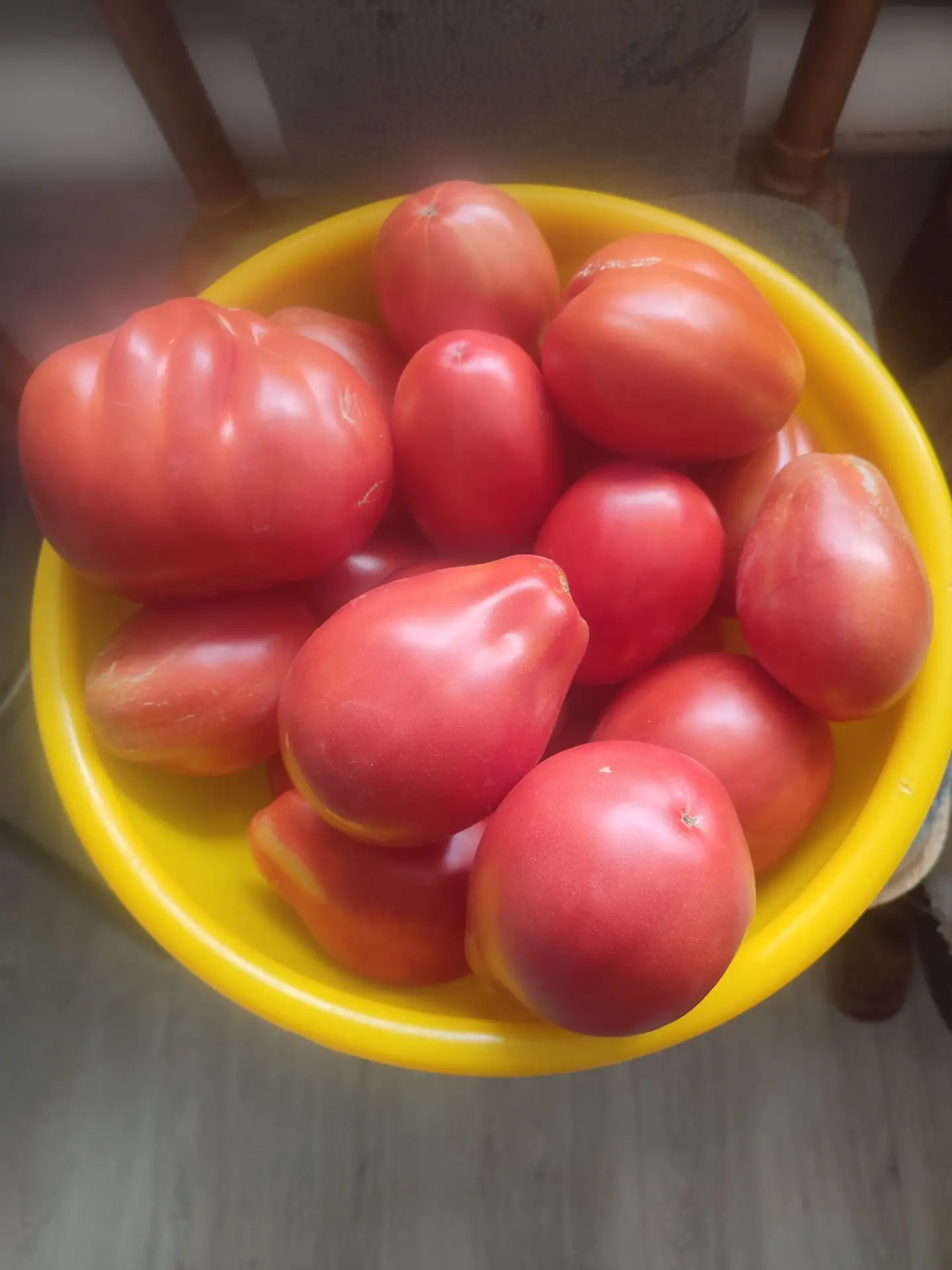 Продам 4кг по 200 рза кг , мясистые