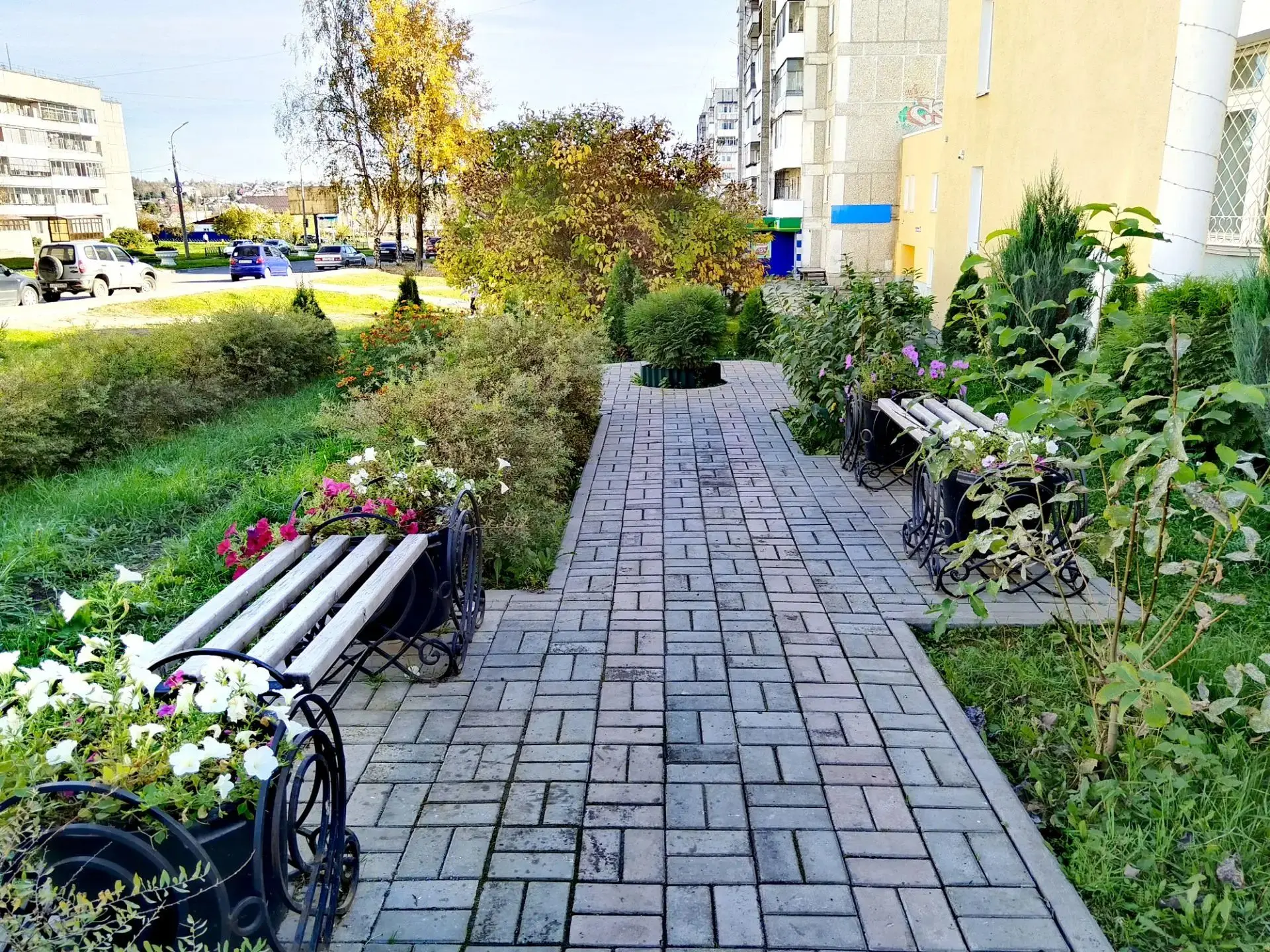 Красота возле театра-кукол. Фото: Елена Камнева. 30 сентября 2026 года.