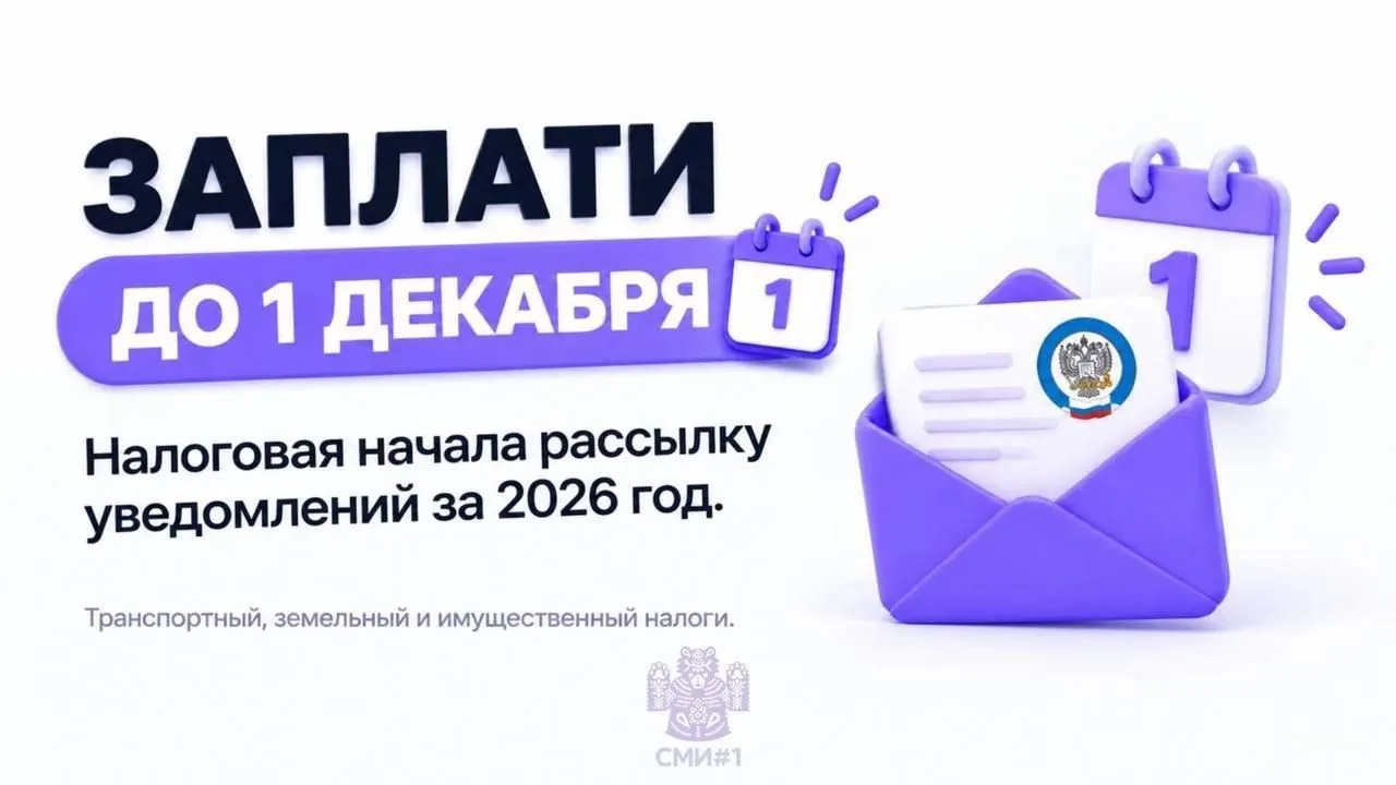 Напоминаем: налоги необходимо заплатить до 1 декабря