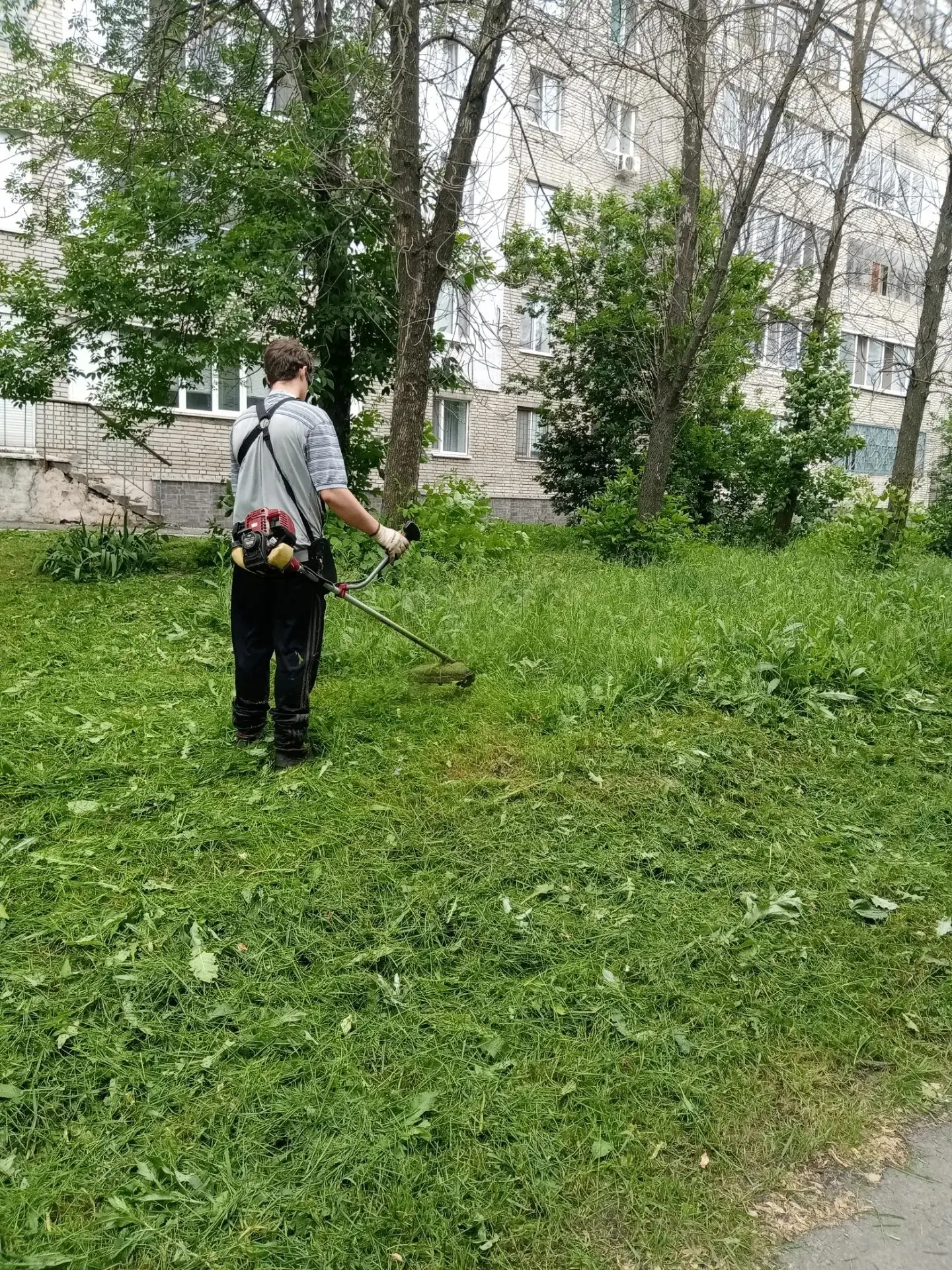 🌳Сегодня наши специалисты привели в порядок зелёные зоны по адресам:
📍ул. Онежская 17, Пр. Строите