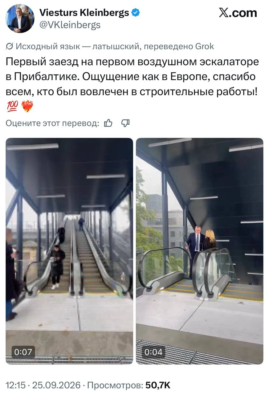 Бедолаги... 😁