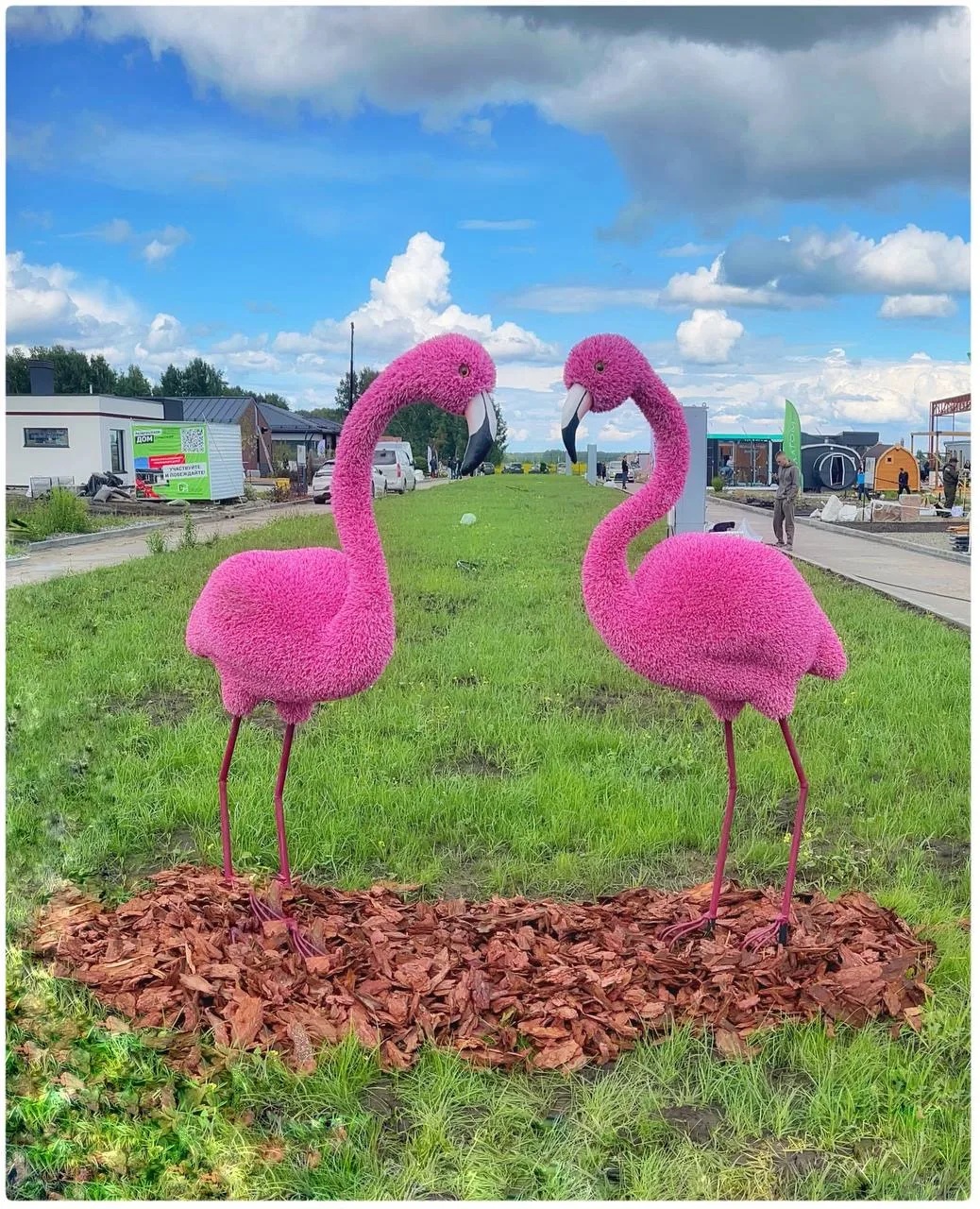 Эта яркая парочка фламинго украшает аллею в посёлке FREEDOM VILLAGE, где в прошлом году...