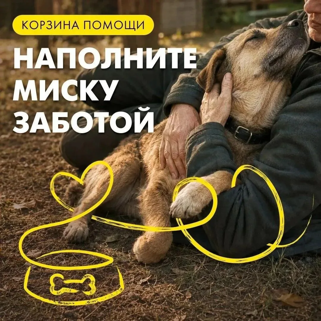 Осталось всего 8 часов! Счёт идёт на часы, а от голода на минуты.