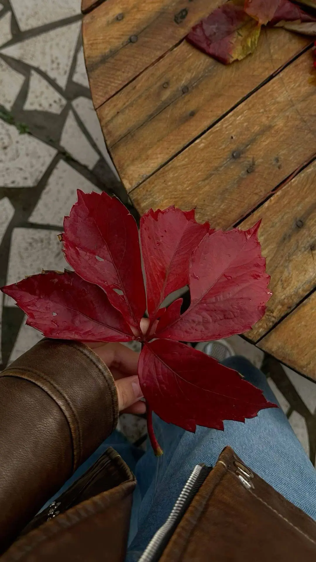 Понедельник🍁