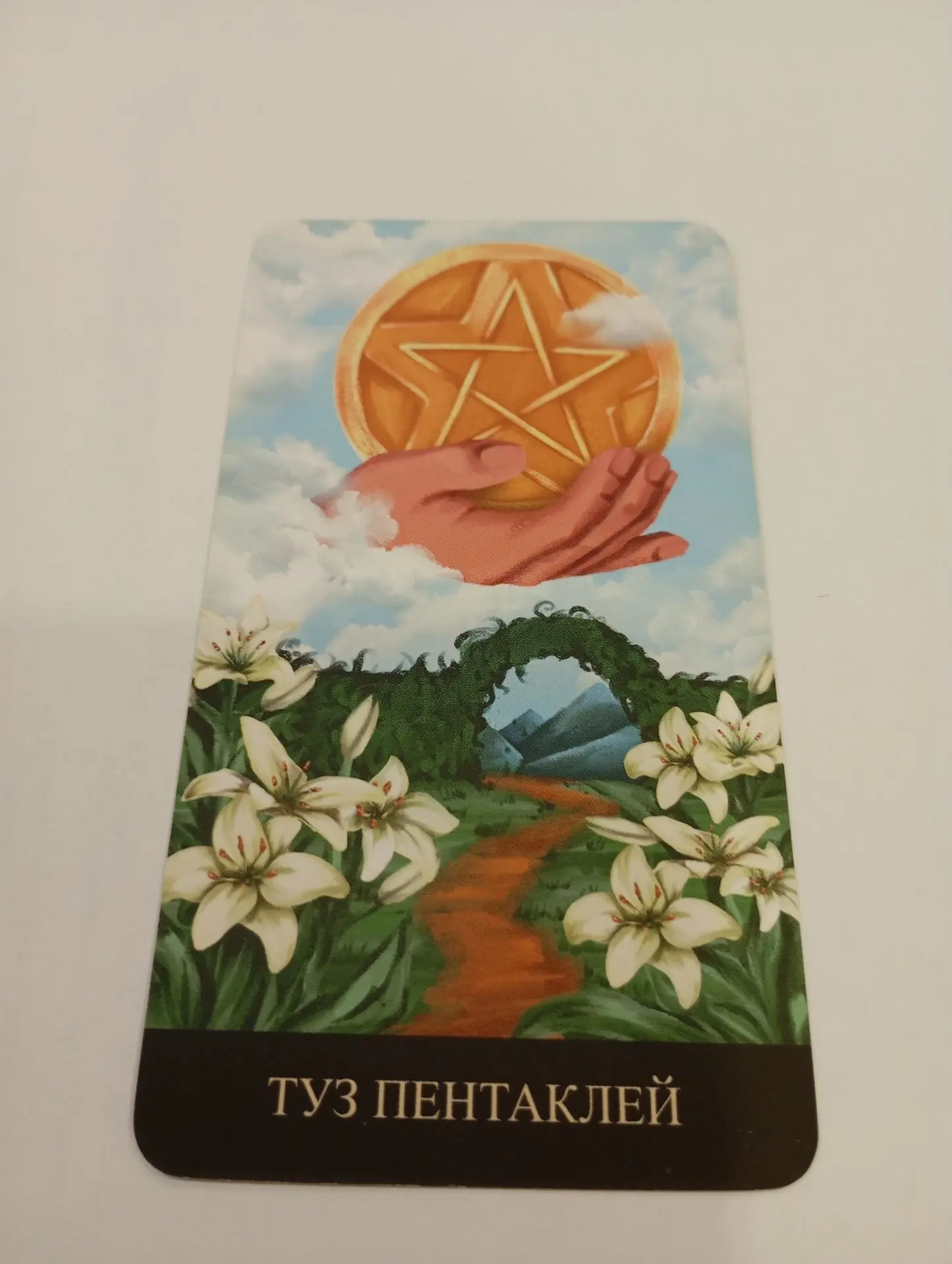 Неделя несёт новые возможности для увеличения дохода и смены деятельности.