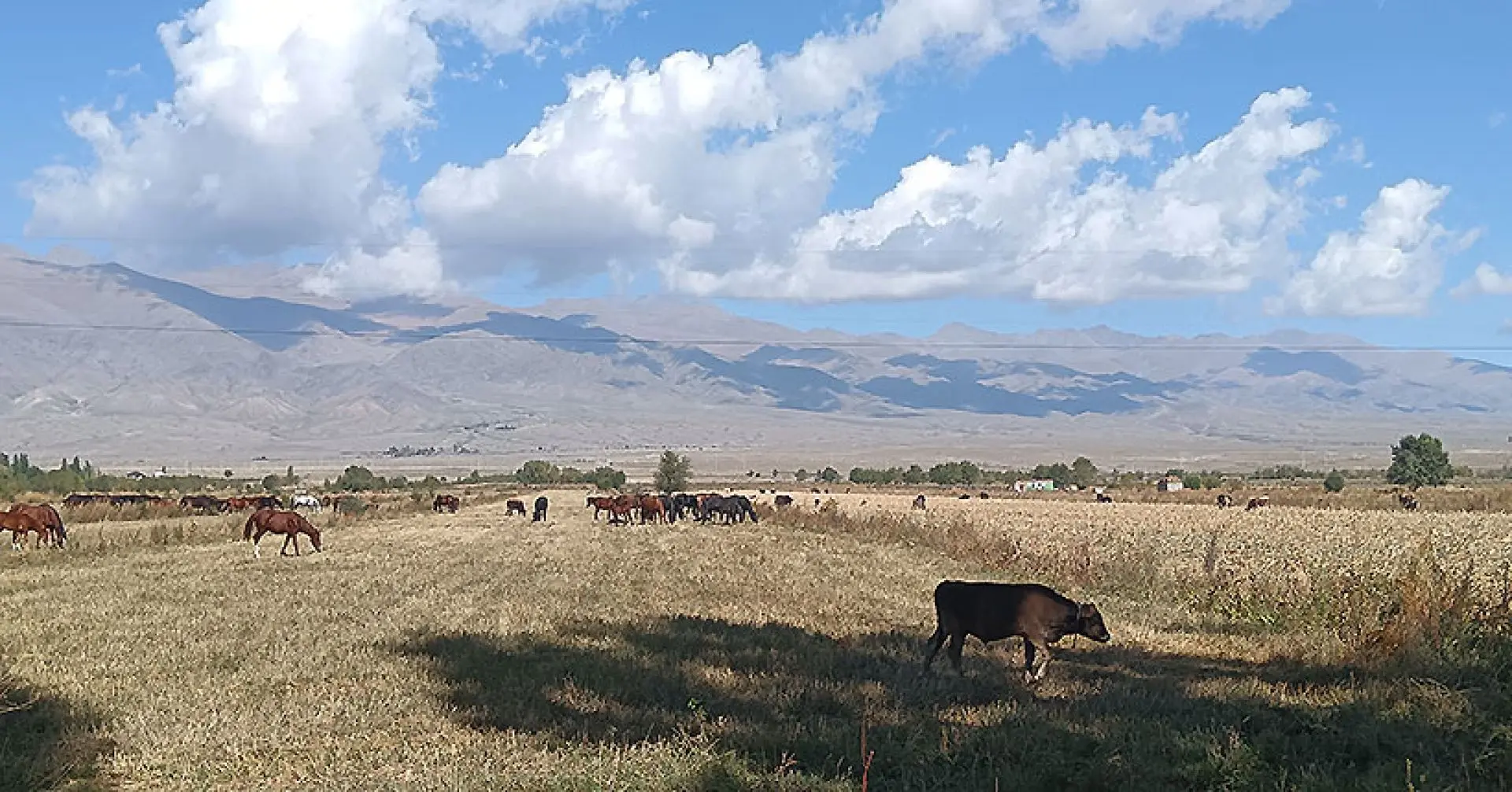 🏔 Иссык-Куль ближе, чем кажется: Киргизия зовет новосибирцев в гости