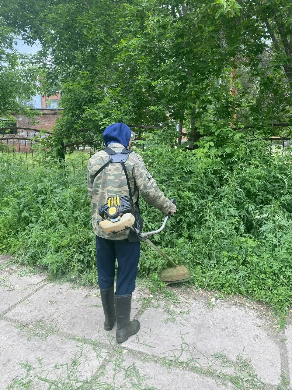 📝Покос травы 
95 квартал