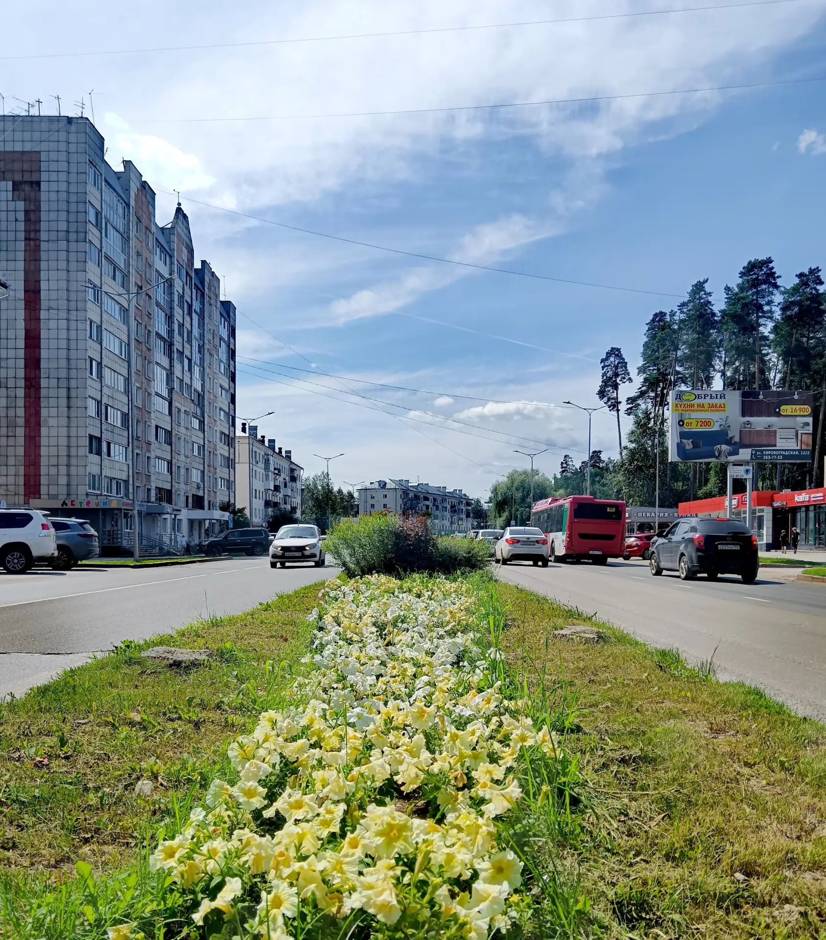 На улице Маршала Рыбалко. Закамск. Кировский район. г.Пермь. Июль 2026. Фото Виноградов...