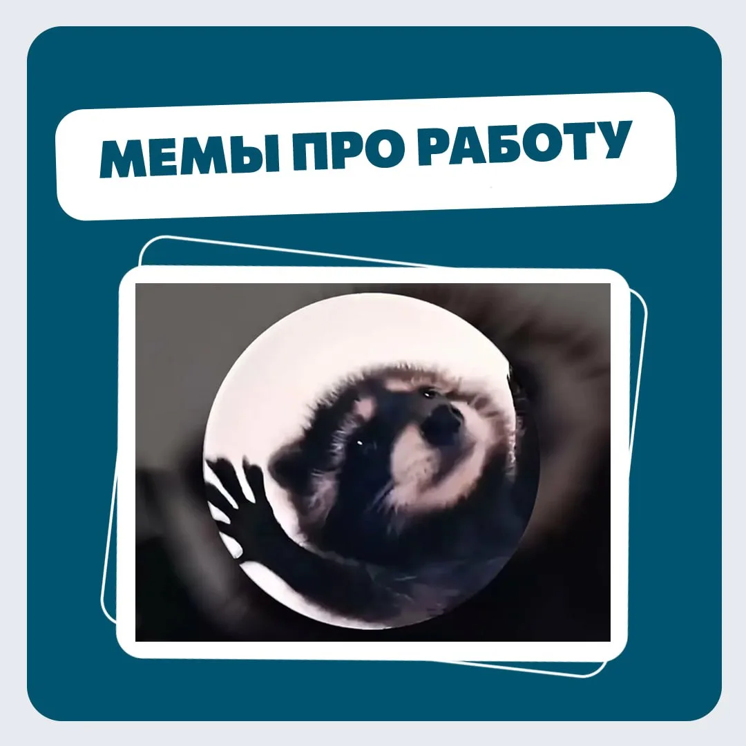 Каким мемом вы бы показали свой отдел или свою работу? 😄