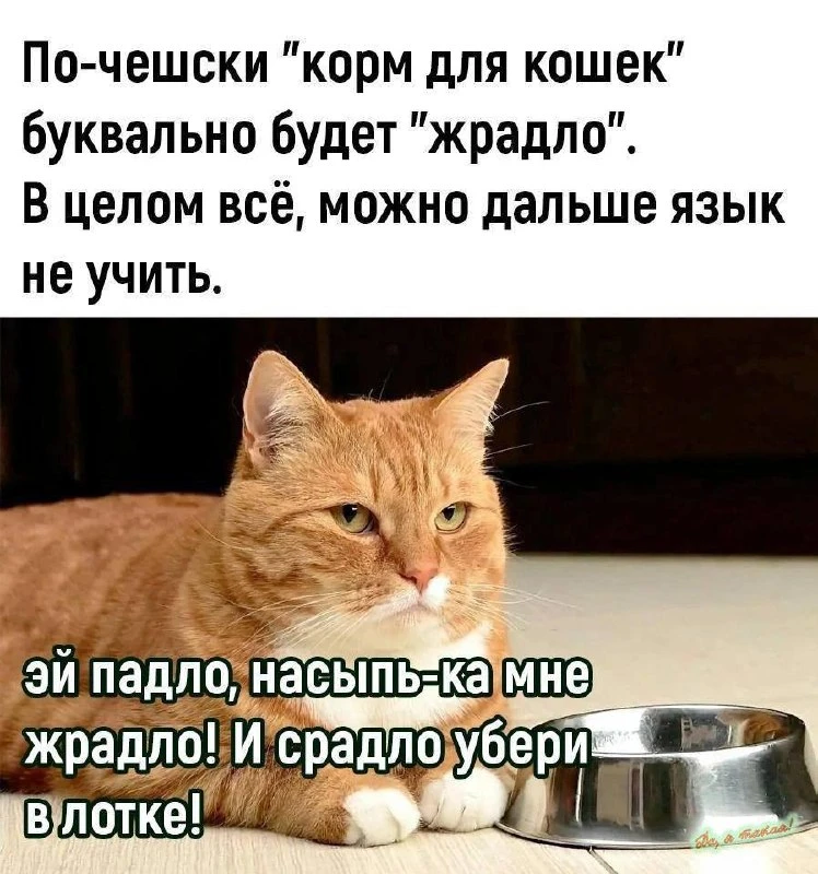 🤣🤣🤣