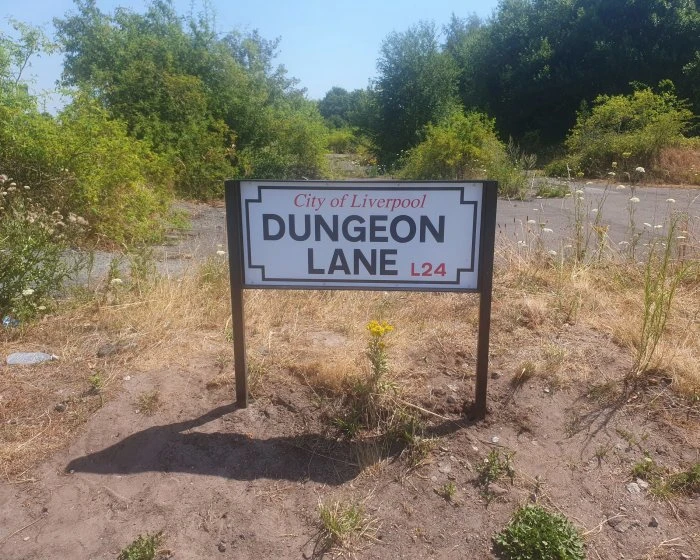 Альбом Маккартни привлек туристов на Dungeon Lane в Ливерпуле