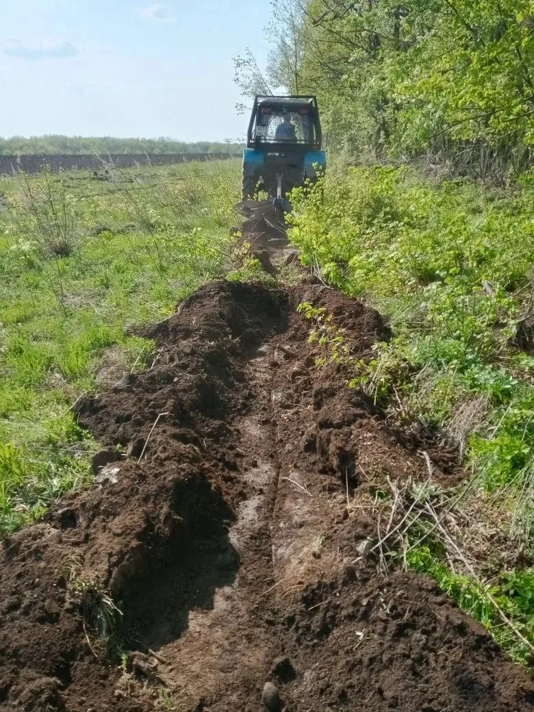 📌По Буинскому лесничеству в 2026 году предстоит работа по устройству минерализованных ...