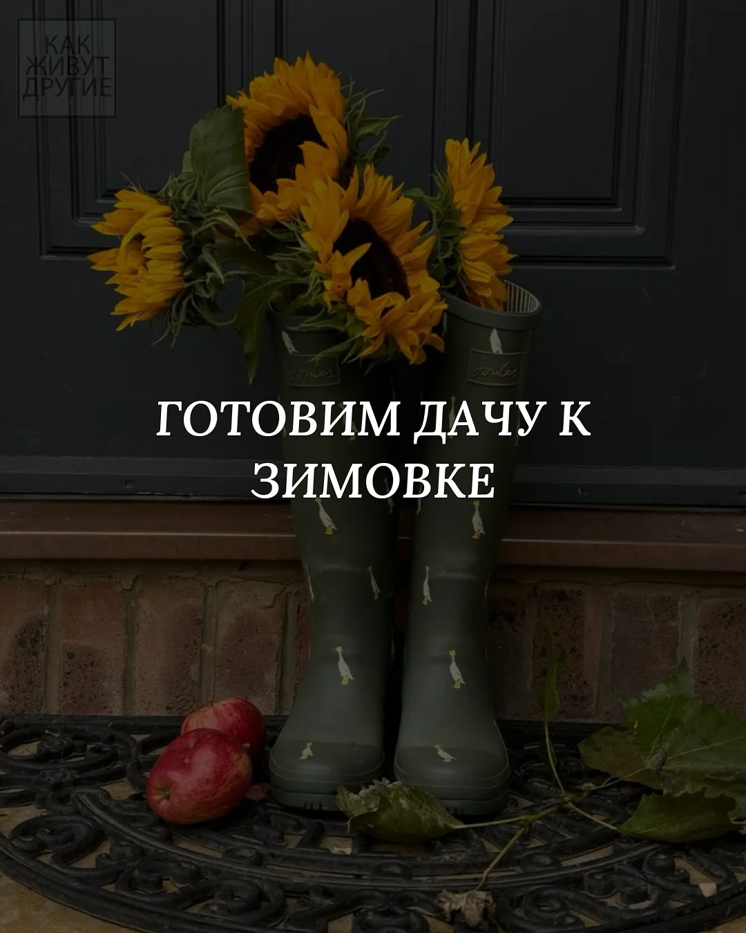 Сегодня пятница и впереди последние выходные лета. 🥲И сейчас хороший момент, чтобы не ...