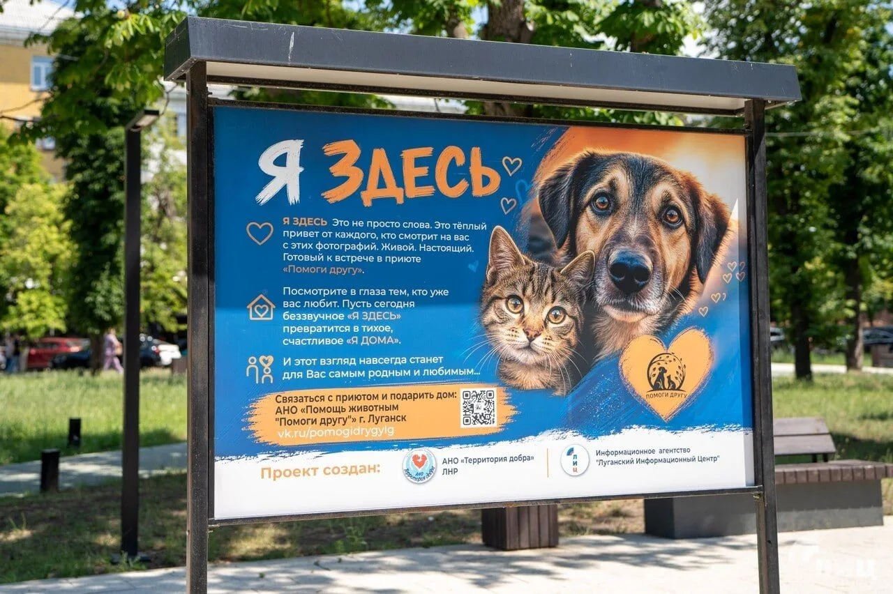 🐾 Им тоже нужен дом