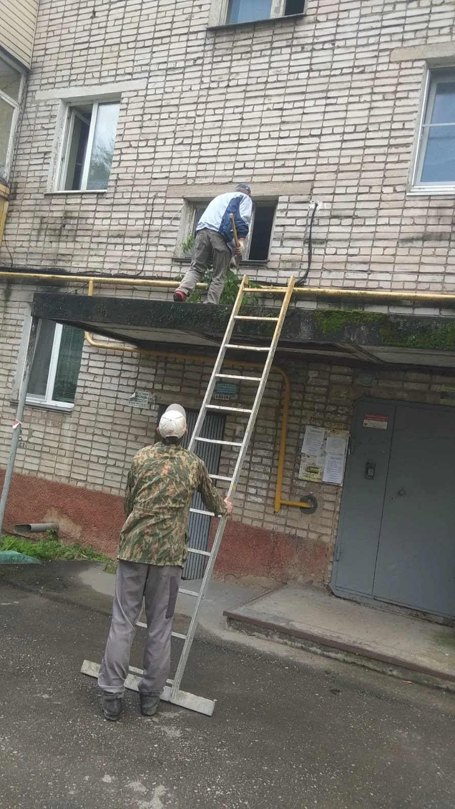 Пушкина 19 удаление порослей с козырьков