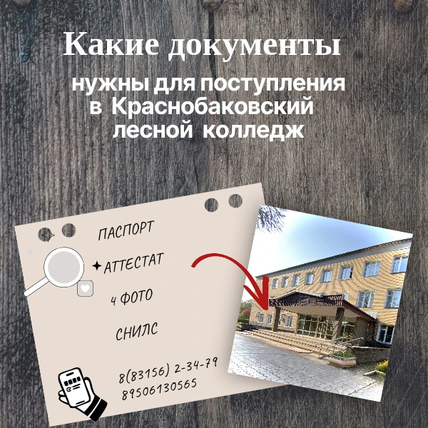 Чтобы поступление прошло без лишних хлопот, собрали полный перечень необходимых документов.

▫️Докум