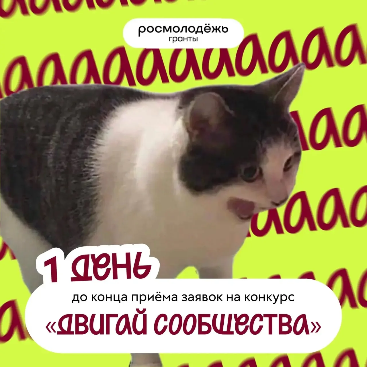 АААААААААААА  До конца приёма заявок на конкурс «Двигай сообщества» остался 1 день!  Это значит, что