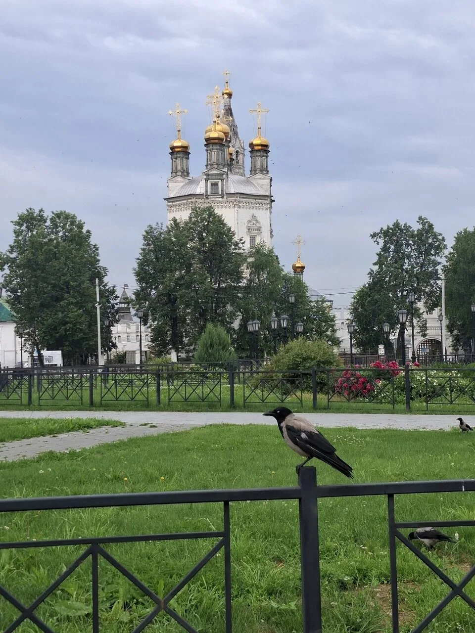 Источник: