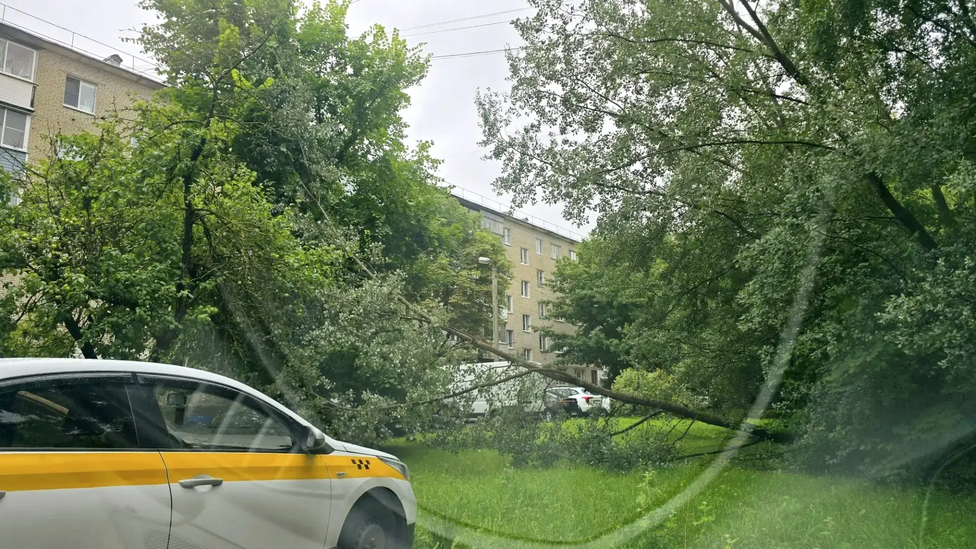Возле дома №7 на улице Академика Павлова в районе автомобильной парковки упало дерево.

От нашего по