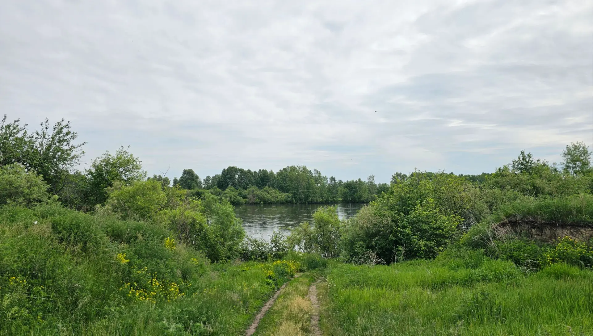 Доброе утро, друзья! Пусть день сегодня будет легким и радостным. 🌿✨

#утроАП