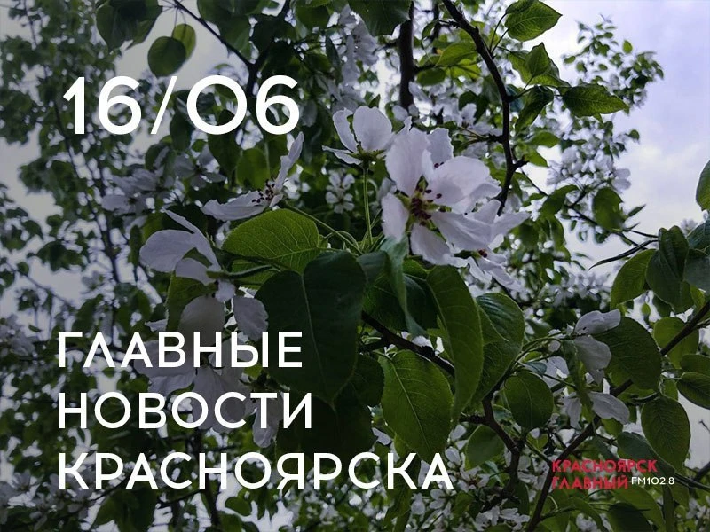 Главные новости за день:

▪️С начала сезона на дорогах края произошло 81 ДТП с участием мотоциклисто