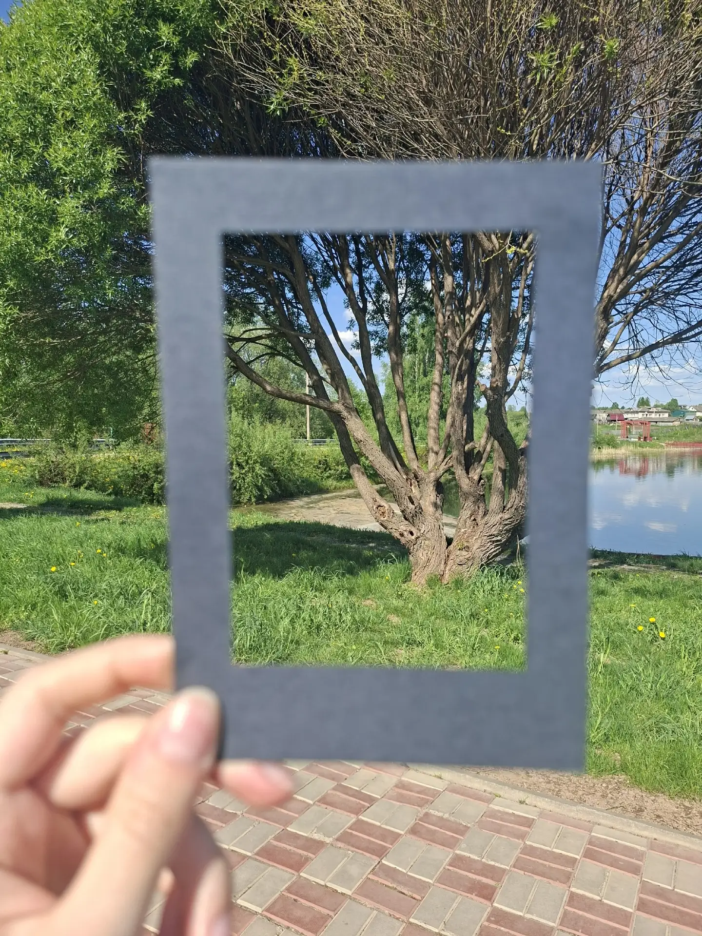📷 Задание по графике: зарисовка ствола дерева с ярко выраженным характером и фактурой ...