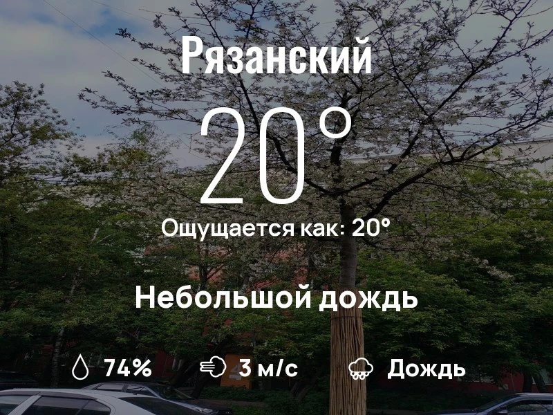 Что с погодой в Рязанском?