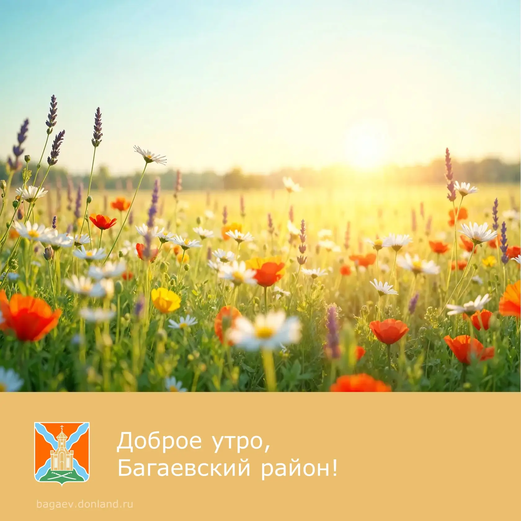 ☀️ Доброе утро, уважаемые жители Багаевского района!  ✅ Прекрасного воскресного дня.  #доброеутро #Б