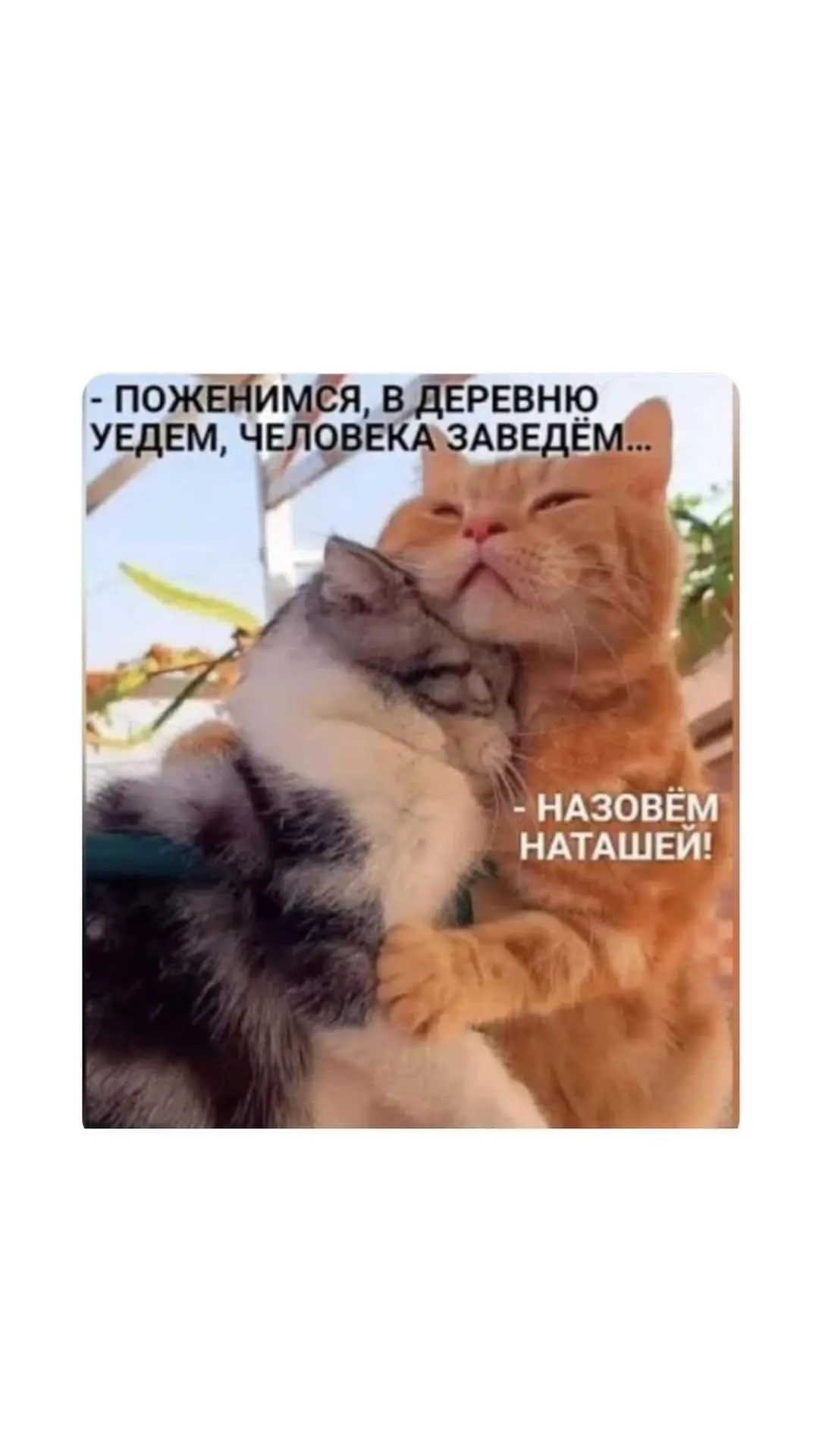 Вечерний кардиопривет♥️