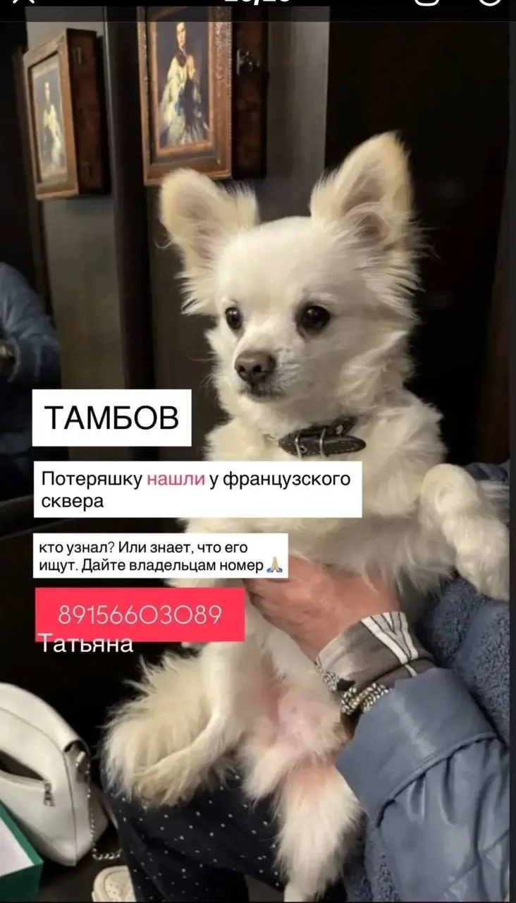 📩📤📥📨✉️