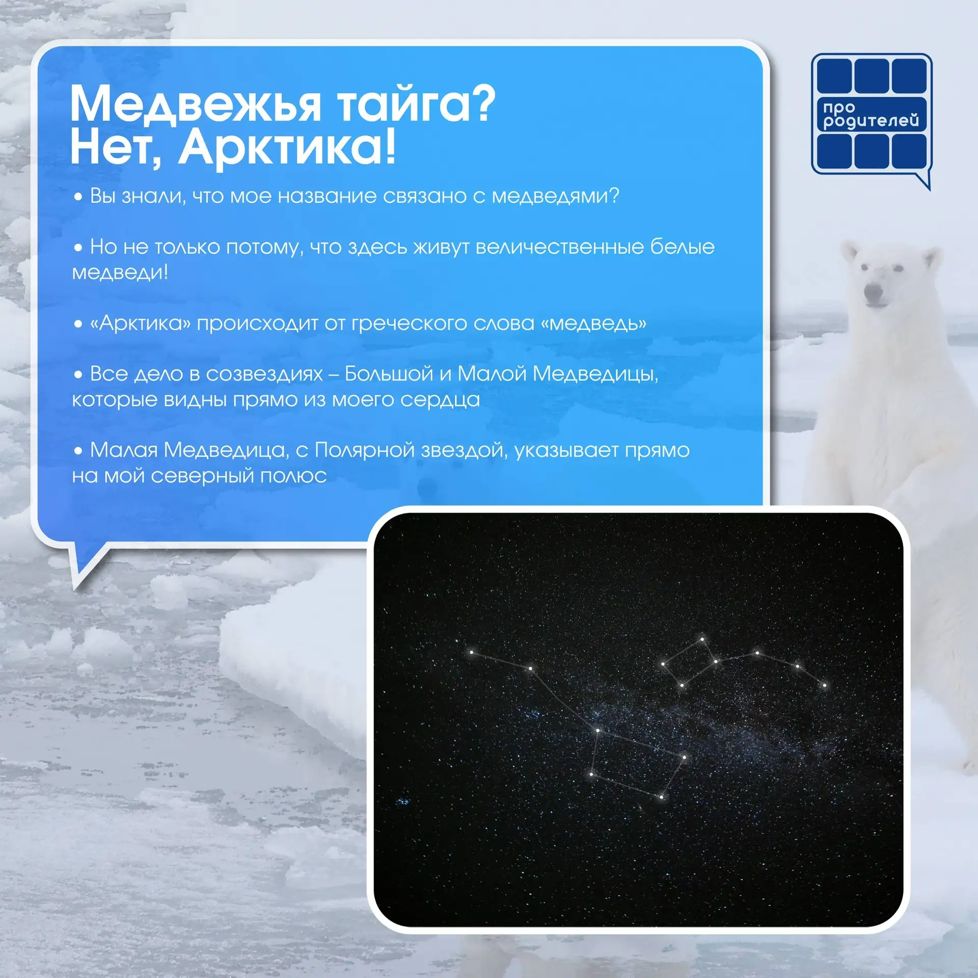 🧊Бескрайнее царство льда  28 февраля — день Арктики, день, посвященный одному из самых удивительных 