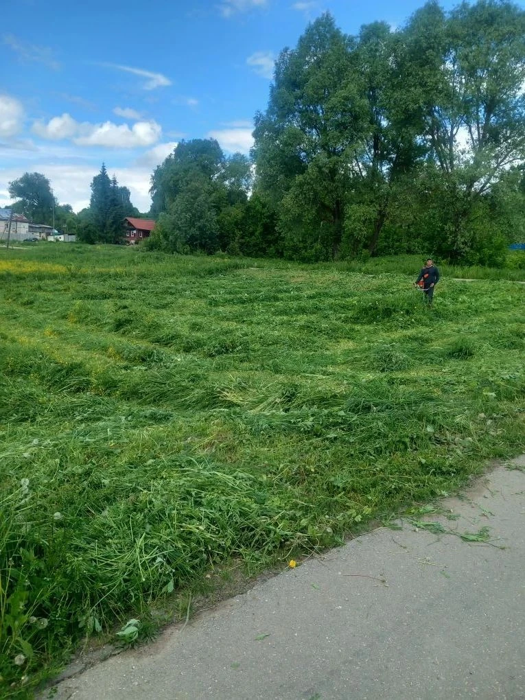 Детство — это время веселья, игры и активности. Именно в юном возрасте дети начинают ак...