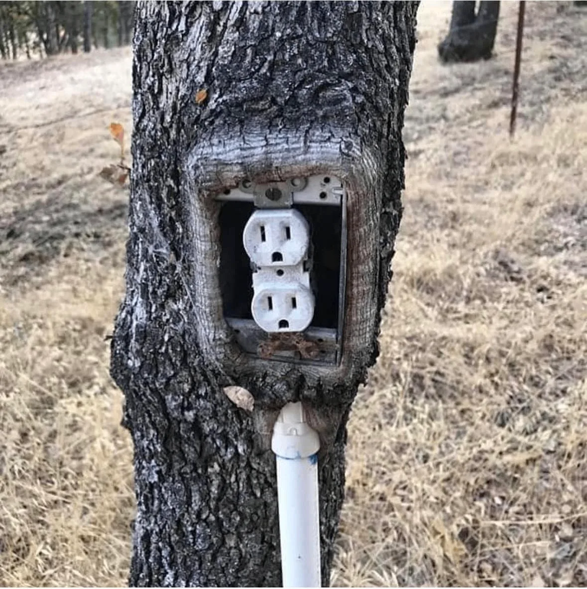 Вросший блок розеток 😳