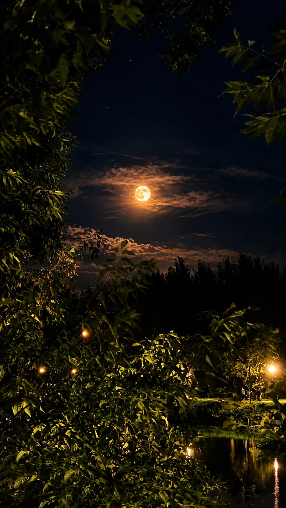 🌕 Луна над городом ✨