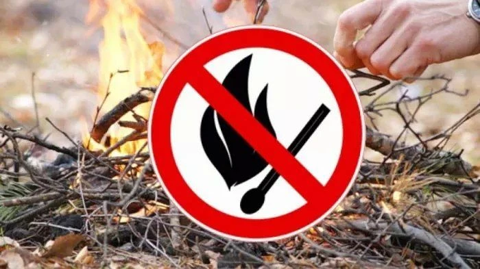 📌 В пяти населённых пунктах Камчатки выросла угроза лесных пожаров

В пяти населённых пунктах Камча