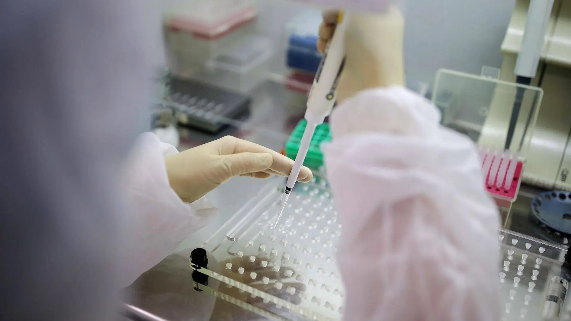 🦠 Новые штаммы гонконгского и свиного гриппа могут прийти в Россию из Южного полушария...