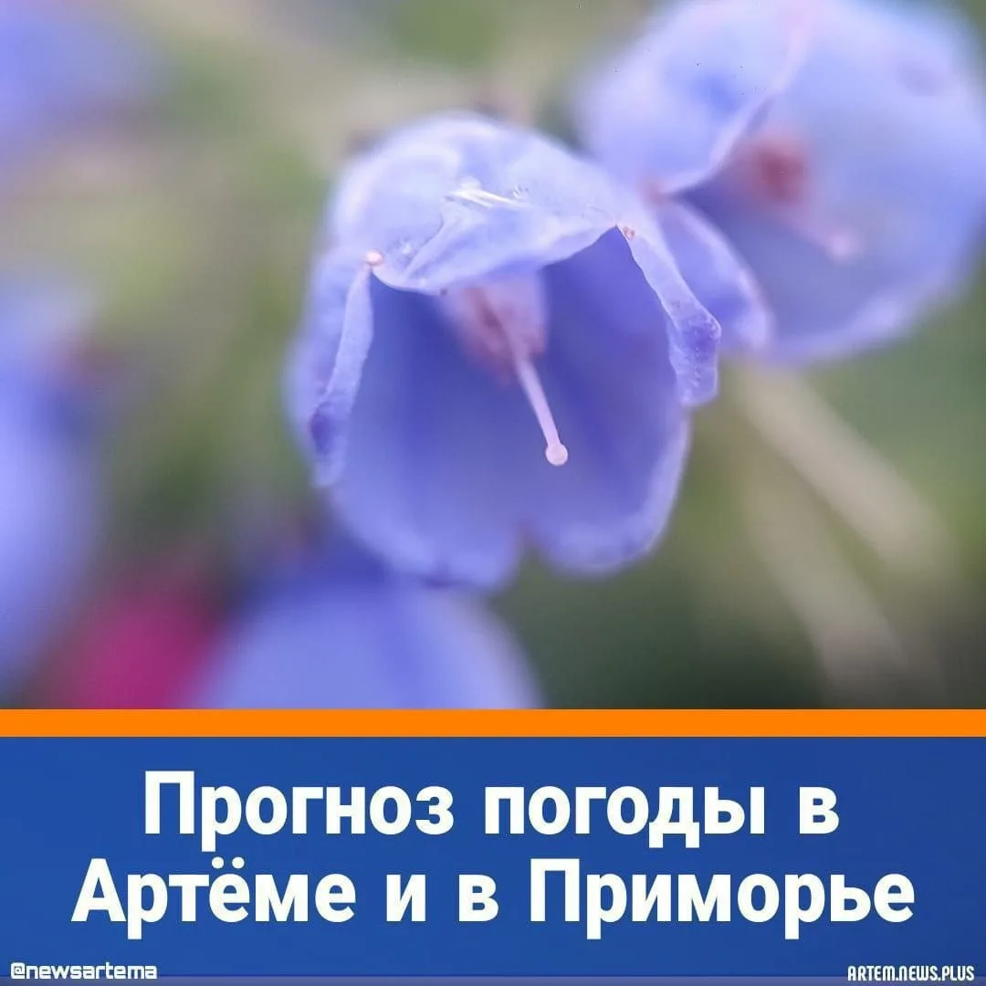 ⭐️Сегодня, 13 июня, погоду в Приморском крае определяет тыловая часть высотной ложбины. Местами крат