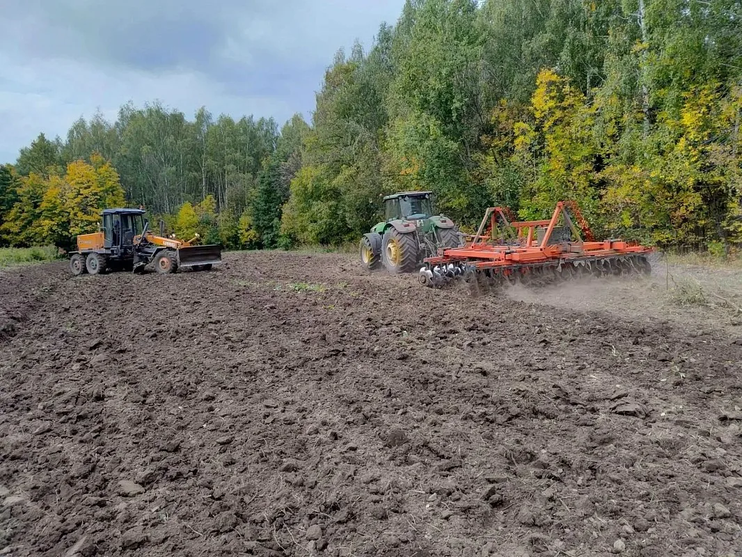 🌱 Саженцы для озеленения Рязани будут растить в Турлатове в питомнике готовят места по...