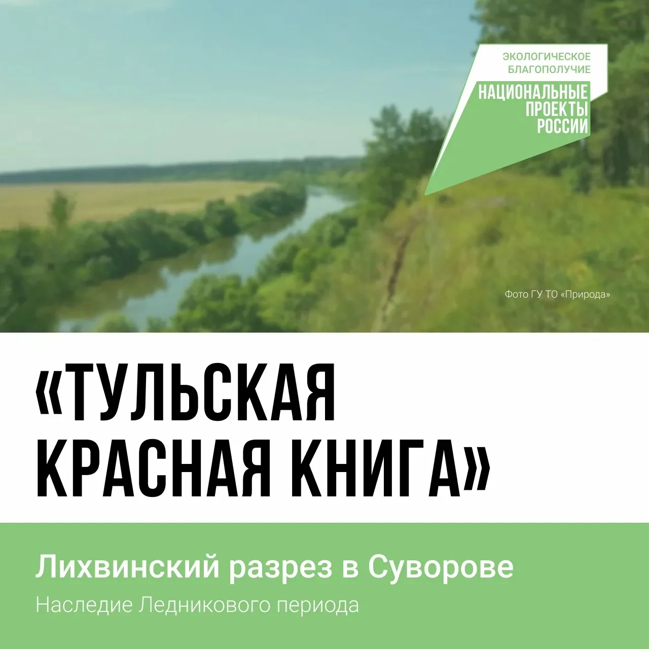 ✅ Мы запускаем проект "Тульская красная книга".
