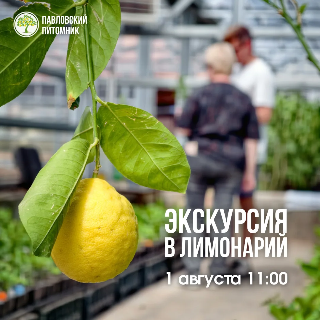 📣 Анонс экскурсии в Павловский лимонарий — 1 августа 11:00 (суббота)

📍 Павлово, ул. Урожайная, 1
