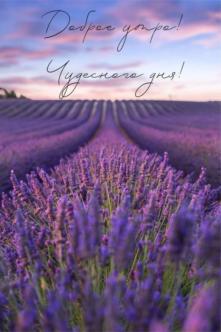 #утро
Картинки на каждый день
