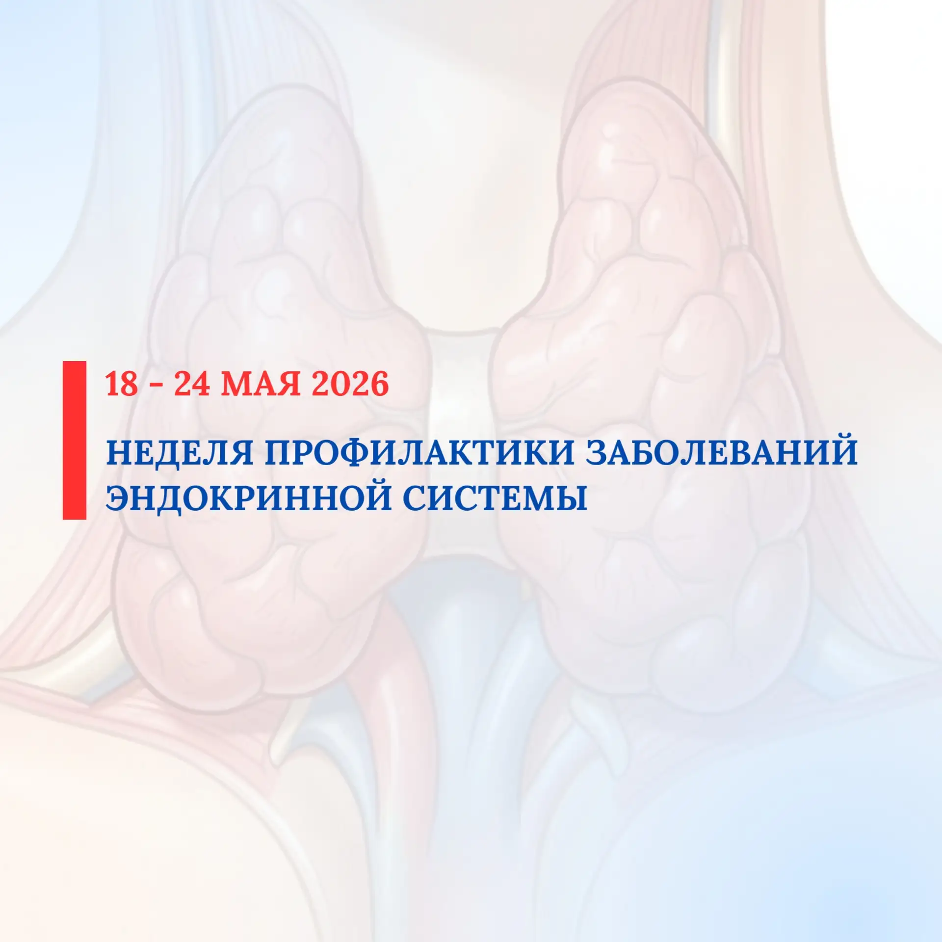 С 18 по 24 мая 2026 проводится Неделя профилактики заболеваний эндокринной системы (в ч...
