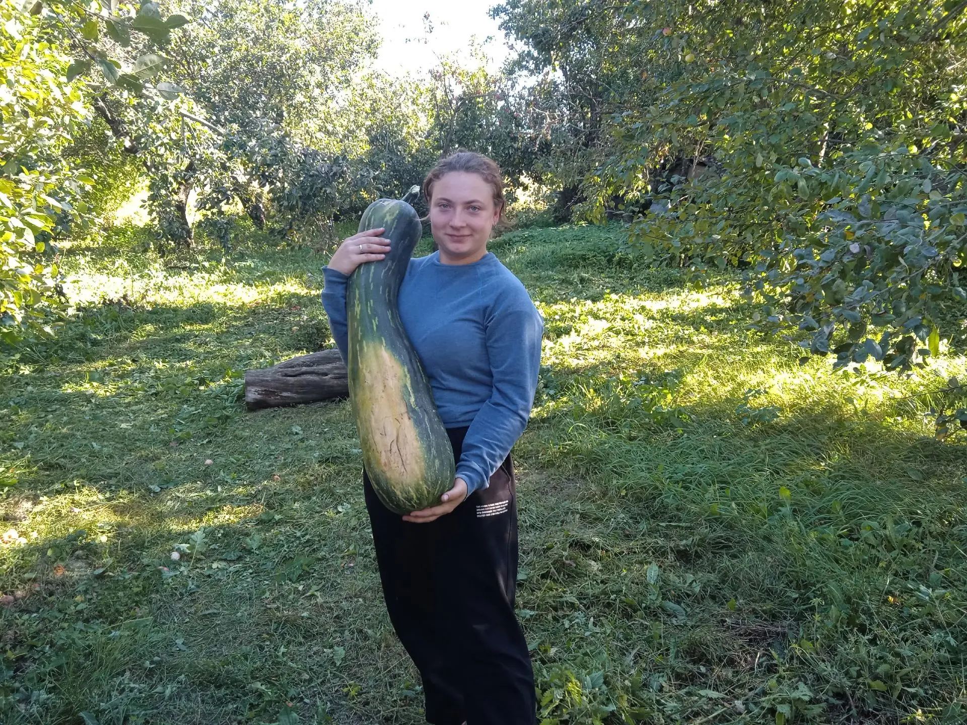 🥕 ОГОрод! Когда урожай действительно впечатляет