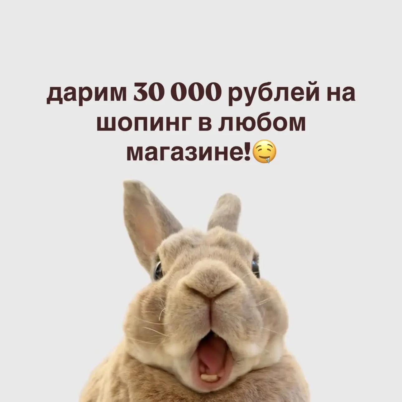Изображение 1 к публикации «между нами говоря»
