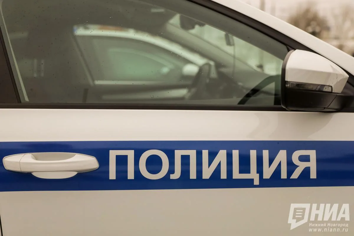 ❗ Полиция проверяет обстрел нижегородки пластиковыми пульками на Мещерском бульваре