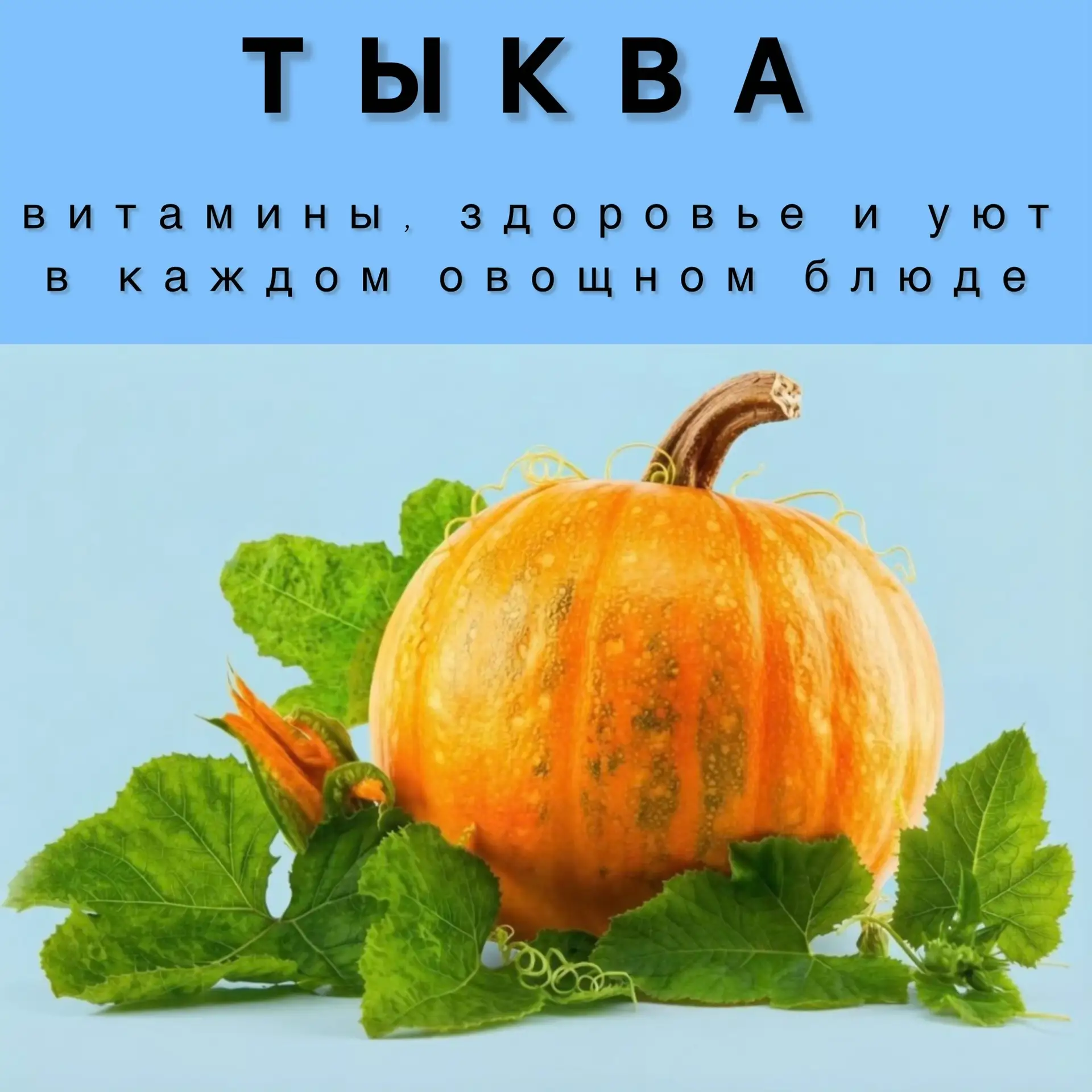 Знаете ли вы, что в тыкве больше калия, чем в банане? При этом она в 4 раза менее калор...
